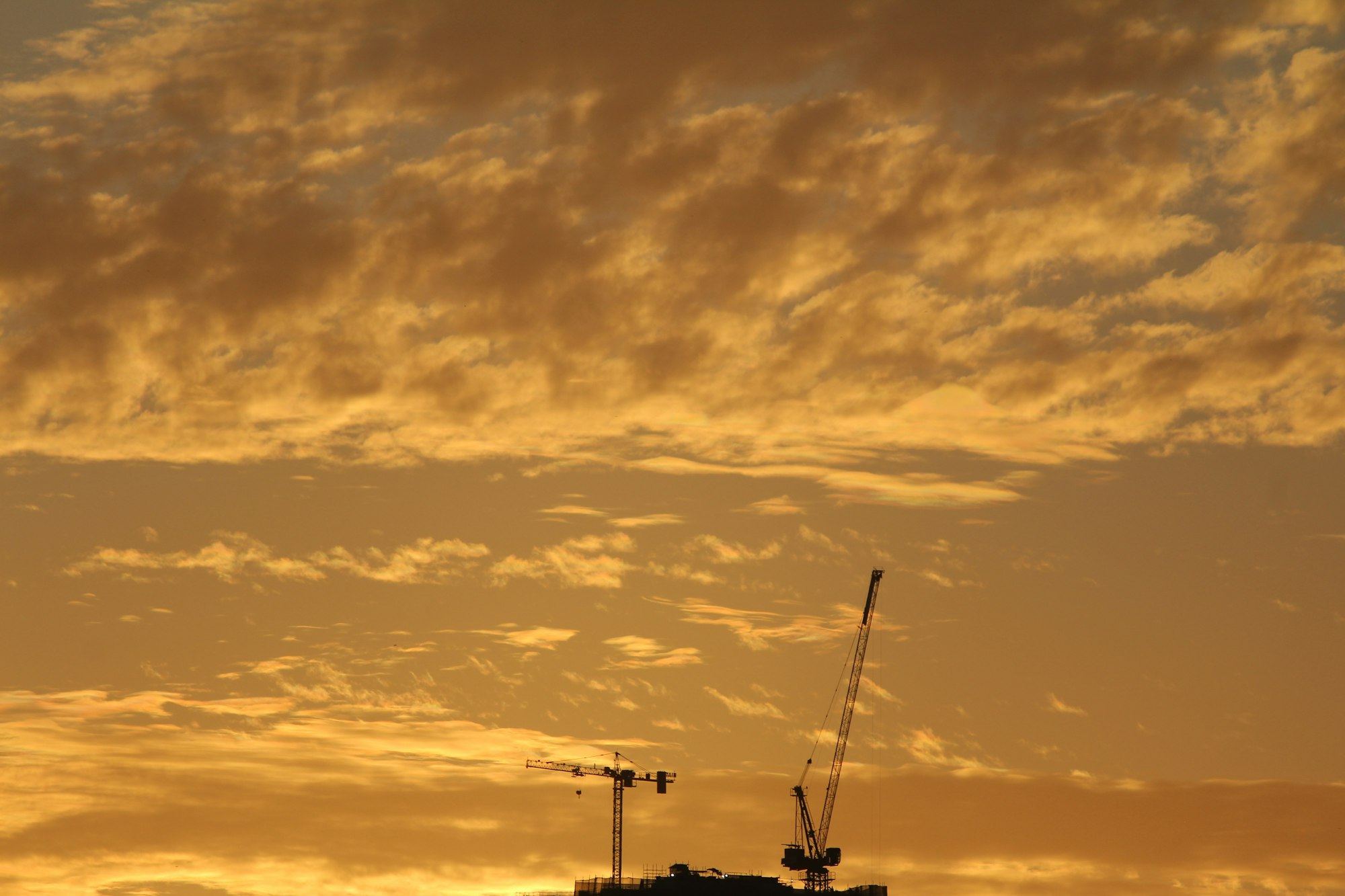 Cranes on the horizon under a vast golden sky