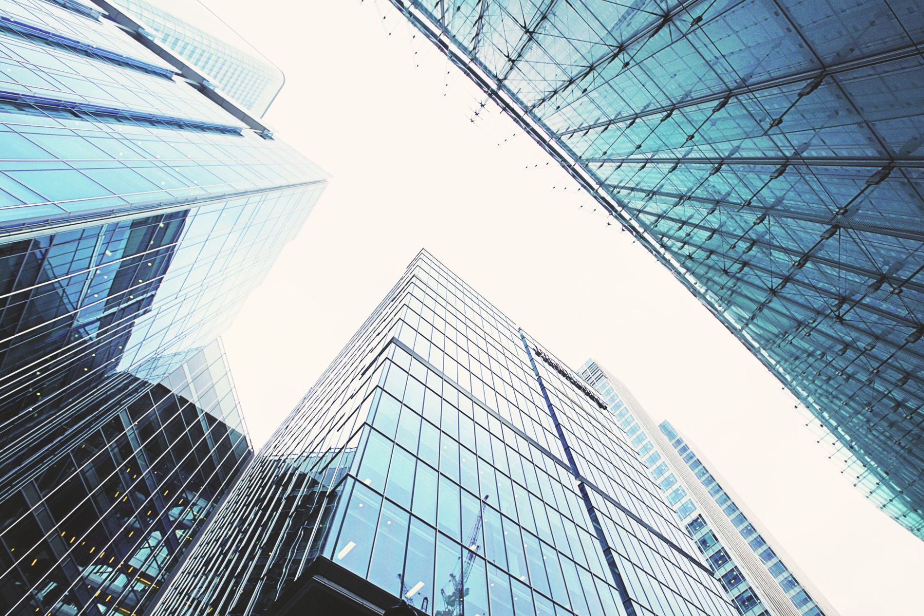 Glass towers in silhouette